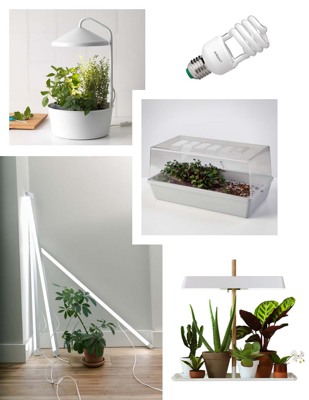 Growlight inspiration The Little Botanist